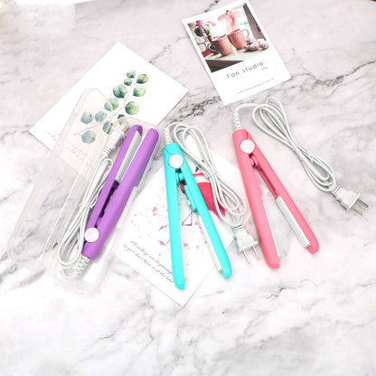 Mini Hair Straightener + Sealer